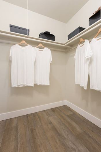 Spacious walk-in closets
